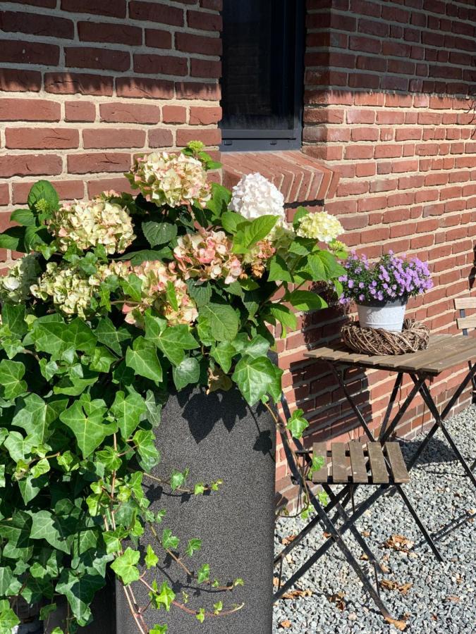 Appartements Unter Reet Tumlauer Koog Eksteriør bilde